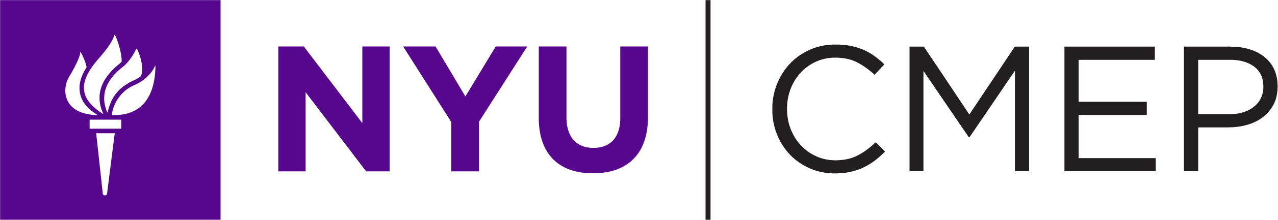 NYU Center for Multicultural Education and Programs